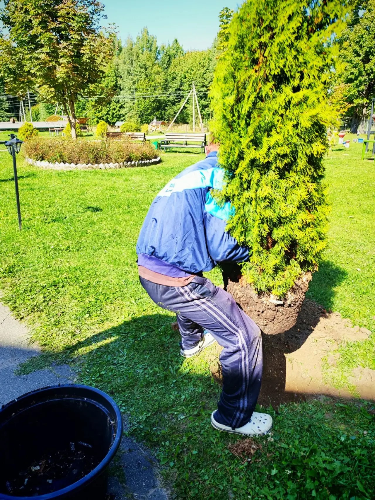 1.jpg